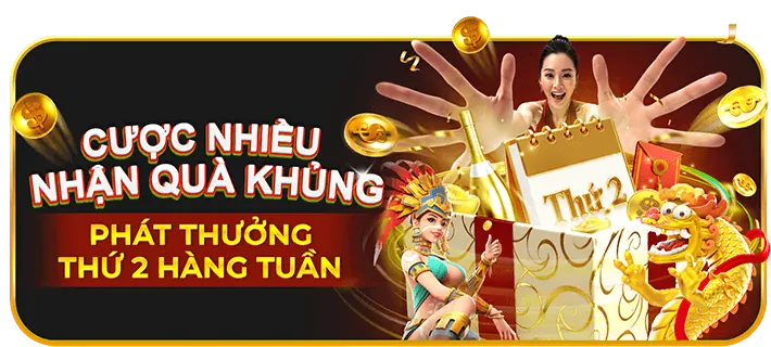 Hoàn trả hàng ngày/tuần vk999