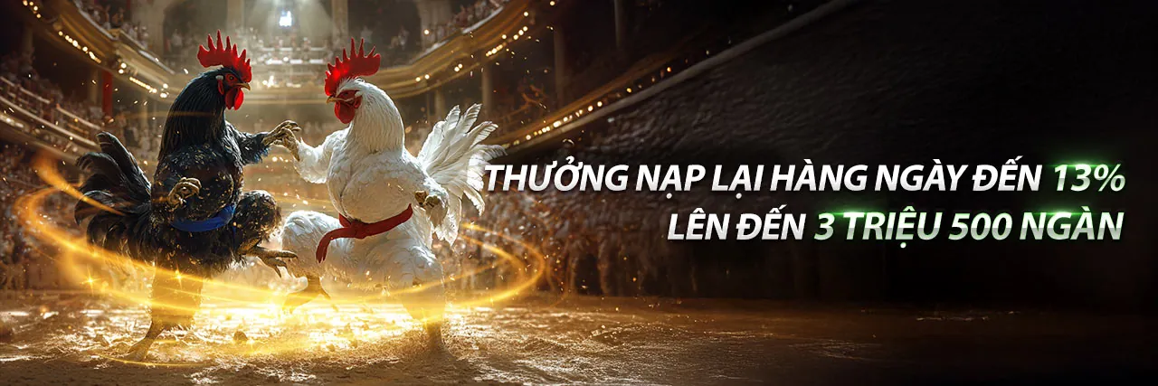 Hướng dẫn chọn nền tảng VK999