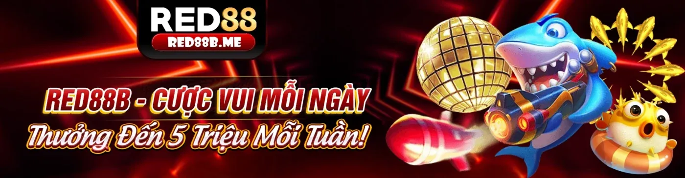 Hình ảnh chính về cá cược có trách nhiệm tại vk999