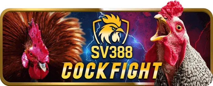 Cờ bạc có trách nhiệm vk999