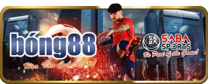 Bảo vệ tường lửa vk999