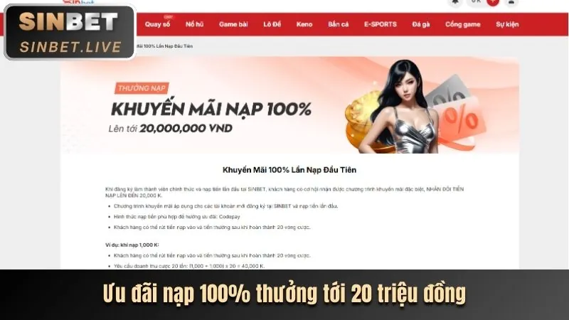 Cá cược Thể Thao vk999